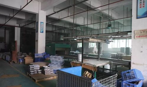 虎門路東一企業違規復工遭再查封，房地產信息咨詢行業監管趨嚴